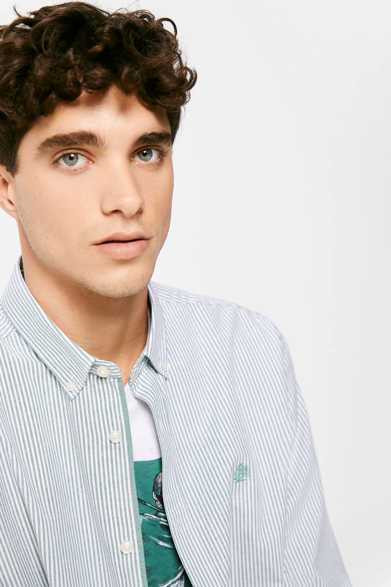 * Camisa Pintpoint Rayas Verde New