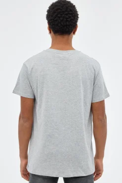 Inside Camiseta Avatar Estampado Gris Sale