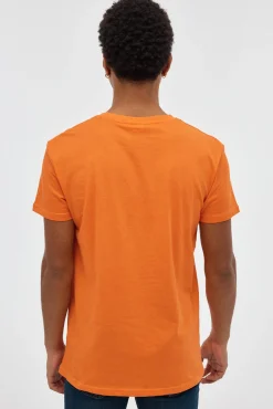 Inside Camiseta Dragon Ball Naranja Best