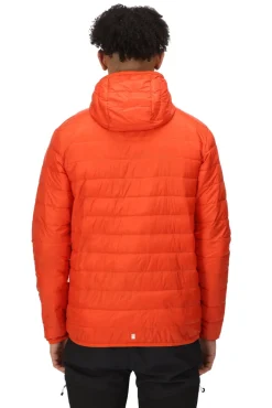 Regatta Chaqueta Con Capucha Hillpack Naranja Sale