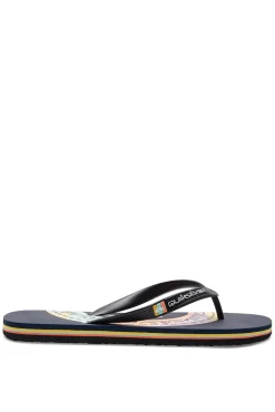 Quiksilver Molokai Art - Chanclas Para Hombre Navy Best
