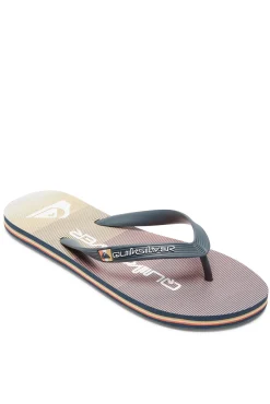 Quiksilver Molokai Massive - Chanclas Para Hombre Gris Hot