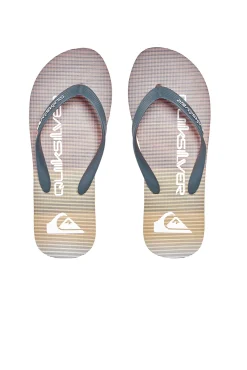 Quiksilver Molokai Massive - Chanclas Para Hombre Gris Hot