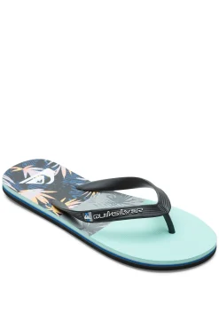 Quiksilver Molokai Panel - Chanclas Para Hombre Gris Online