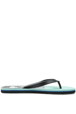 Quiksilver Molokai Panel - Chanclas Para Hombre Gris Online