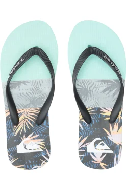 Quiksilver Molokai Panel - Chanclas Para Hombre Gris Online