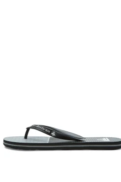 Quiksilver Molokai Tijuana - Chanclas Para Hombre Gris Outlet