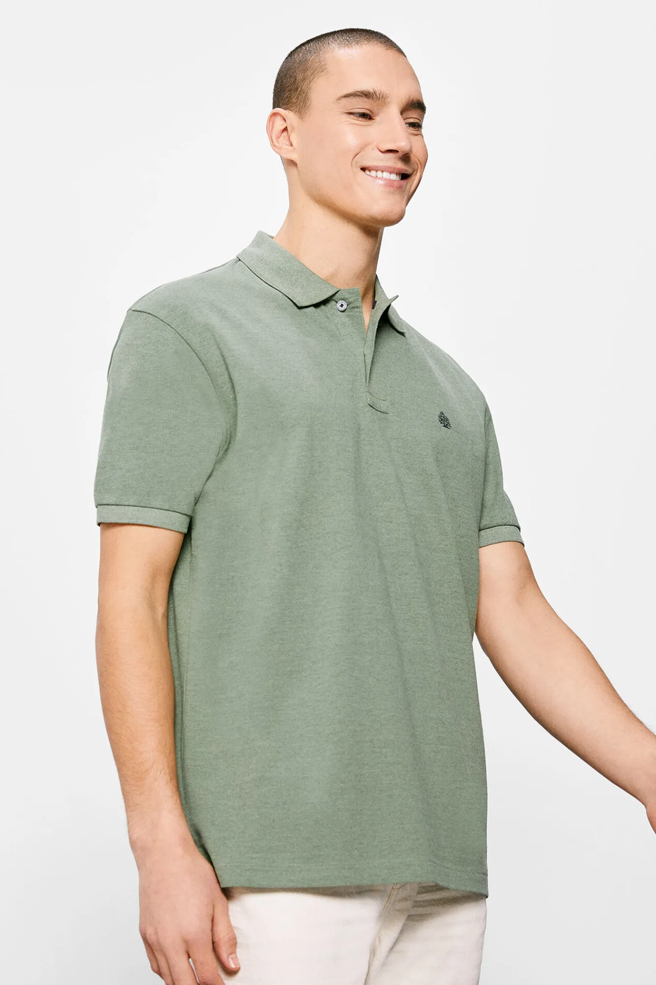 * Polo Overdye Verde Best